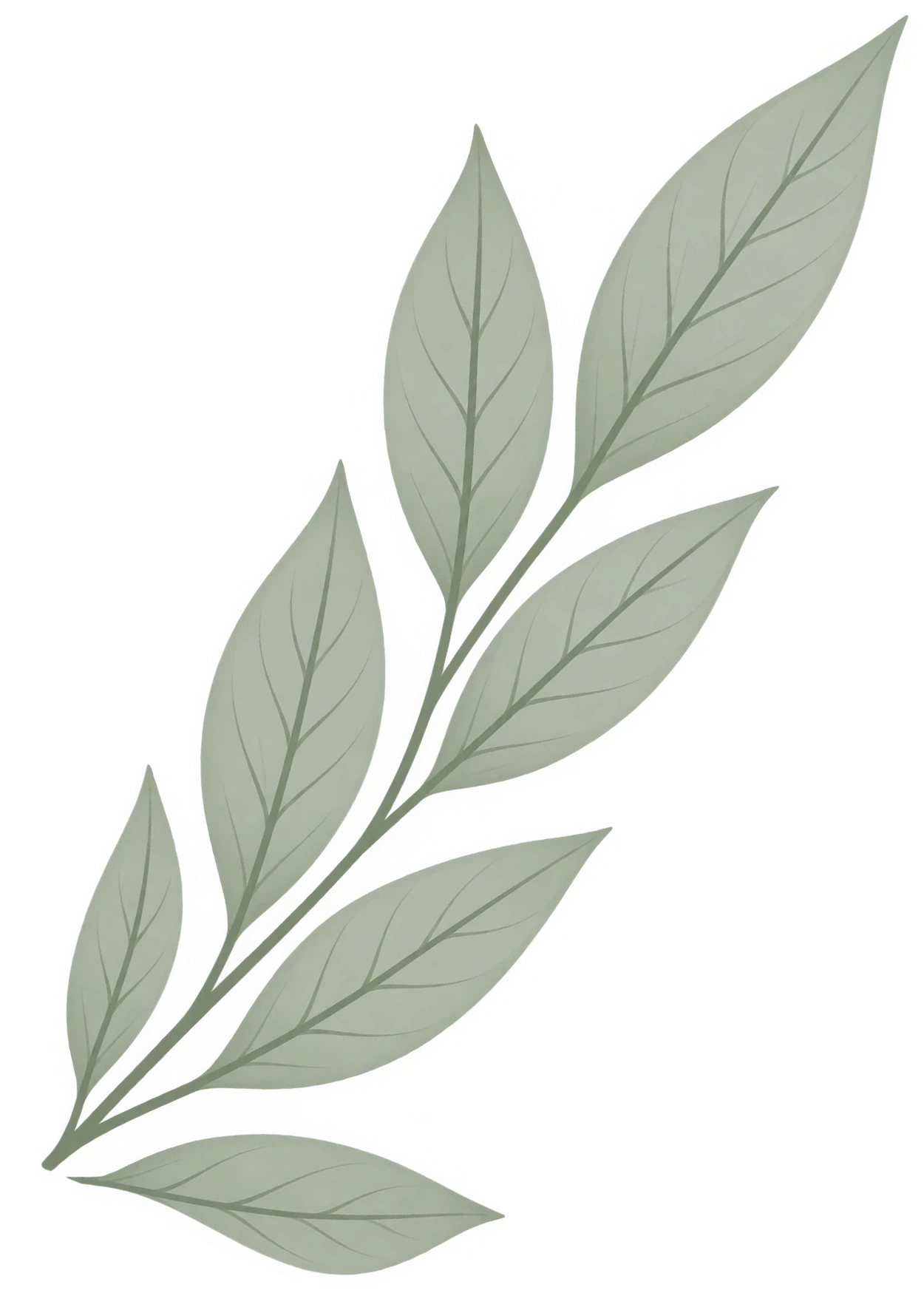 Leaf Accent Left