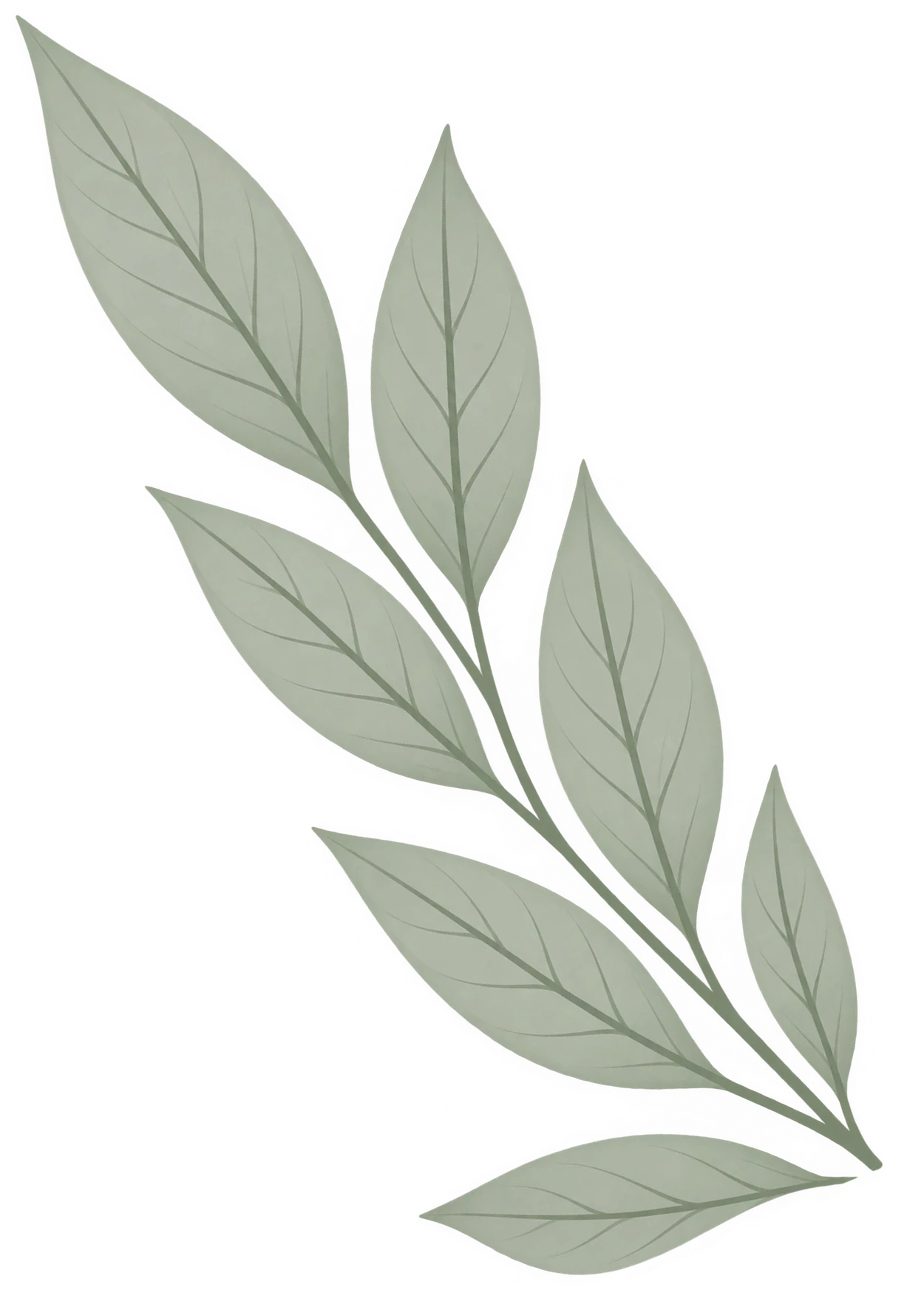 Leaf Accent Right