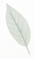 Leaf Accent